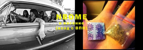 прущие грибы Алексеевка