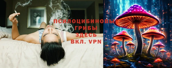 прущие грибы Алексеевка