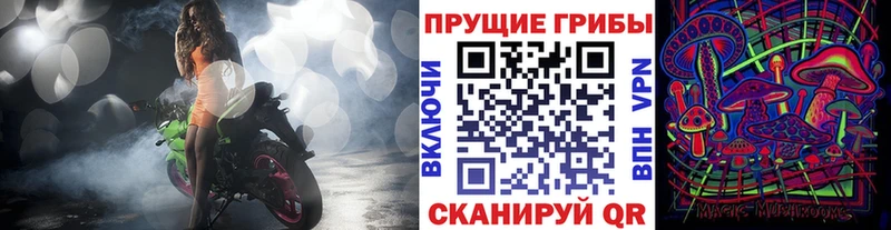Псилоцибиновые грибы Magic Shrooms  Новомосковск 