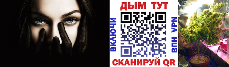 блэк спрут ссылка  Новомосковск  Бошки марихуана конопля 